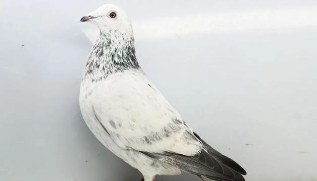 这其实是一, cn 这其实是一, cn