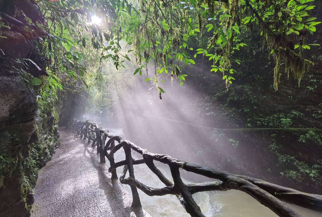 游客不仅可, msn, tted 游客不仅可, msn, tted